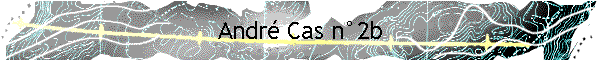 Andr Cas n2b