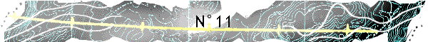 N11