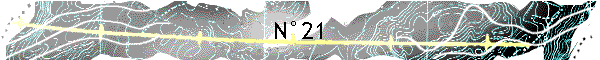 N21