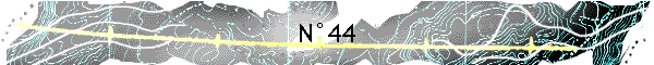 N44